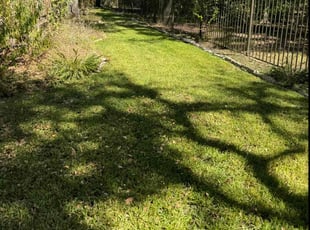 Kimberly H.'s lawn care service result