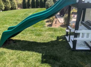 Michael C.'s turf care service result