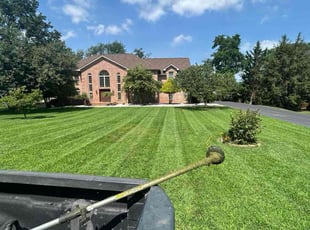 Emma M.'s lawn care services service result