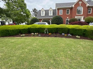 Helvi A.'s Mulching service result