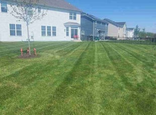 Nolan C. H.'s lawn service service result