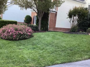 Debi K.'s lawn care services service result