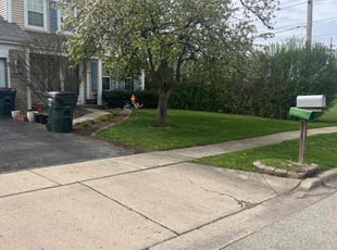 Sally C.'s turf care service result