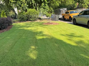 Joann S.'s turf care service result