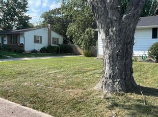 John J.'s grass cutting service result