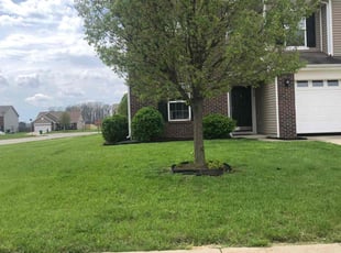 Josephine H.'s turf maintenance service result