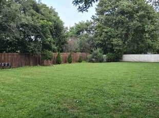 Mason M.'s lawn service service result