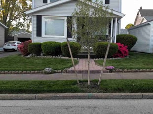 Lindsie W.'s turf care service result