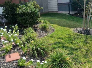 Tammy D.'s Weeding service result