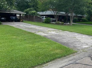Preeya M.'s grass cutting service result