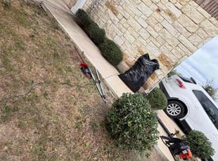Adanna P.'s Bush Trimming service result
