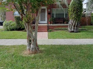 James M.'s lawn care services service result