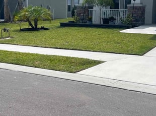 Bhavin P.'s lawn care services service result
