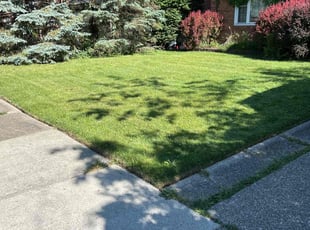 Heather S.'s yard work service result