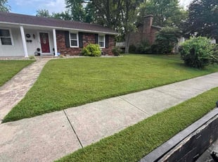 Shatina R.'s lawn service service result