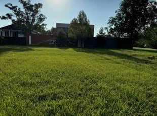 Linda F.'s turf maintenance service result