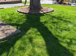 Betty M.'s lawn care service result