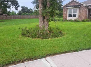 Drew H.'s lawn service service result