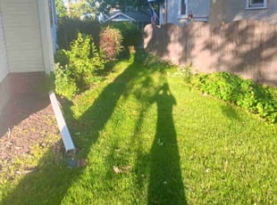 Teresa H.'s turf care service result