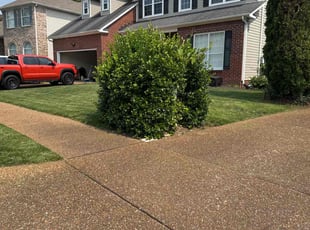Brantly S.'s grass maintenance service result