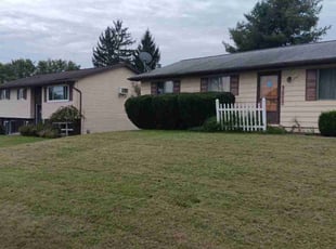 Megan B.'s grass maintenance service result