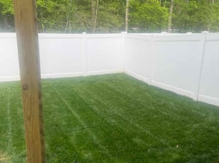 Ken P.'s grass cutting service result