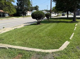 Beesan E.'s turf maintenance service result