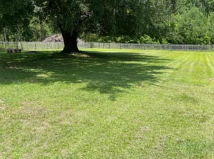 Shawn H.'s lawn care services service result