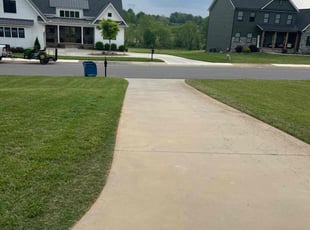 Tom G.'s grass maintenance service result