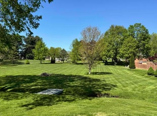 Lindsay G.'s lawn care services service result