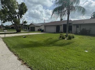 Angela J.'s grass maintenance service result