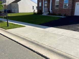 Robin B.'s grass cutting service result