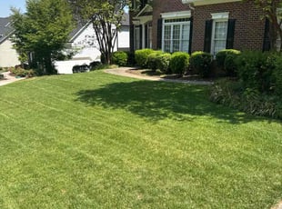 Brandon M.'s grass maintenance service result