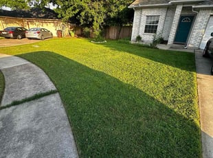 Jonathan P.'s grass cutting service result