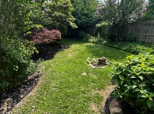 Sarah N.'s grass cutting service result