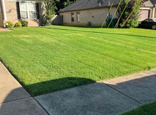 Glenda C.'s grass cutting service result