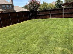 Leslie F.'s grass cutting service result