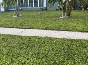 Steve W.'s lawn care services service result