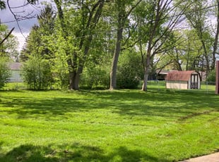 Kimberley D.'s turf maintenance service result