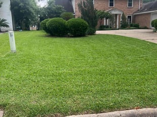 Marvinell J.'s lawn care services service result