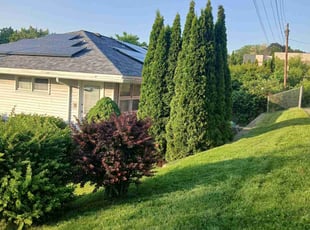 Katie C.'s Long Grass Cleanup service result