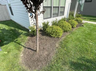 Jesse S.'s Flower Bed Weeding service result