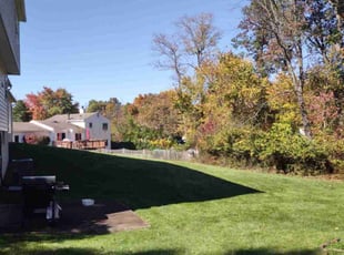 Maxine P.'s turf maintenance service result