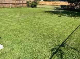 Lisa D.'s yard service service result