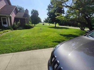 Phyllis M.'s grass cutting service result