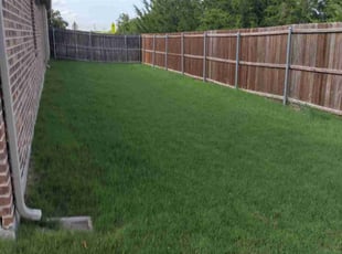 Matthew L.'s lawn care service result