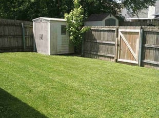 Alexandria S.'s turf maintenance service result
