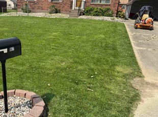 Tony A.'s gardening service service result