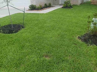 Travis F.'s lawn service service result