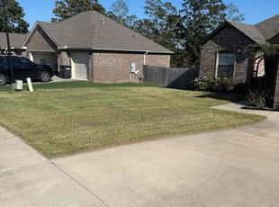 Beata L.'s lawn care services service result
